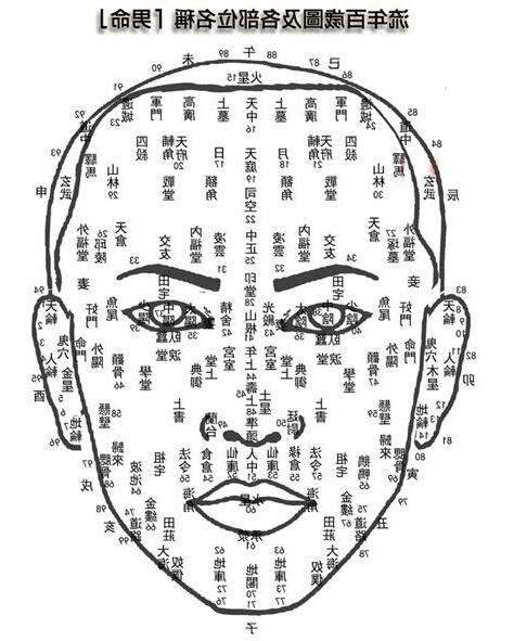 面相 男